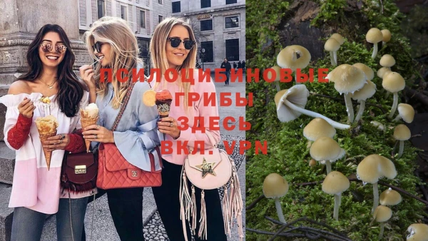 альфа пвп Арсеньев